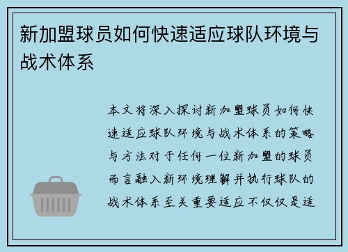 新加盟球员如何快速适应球队环境与战术体系 新加盟球员如何快速适应球队环境与战术体系